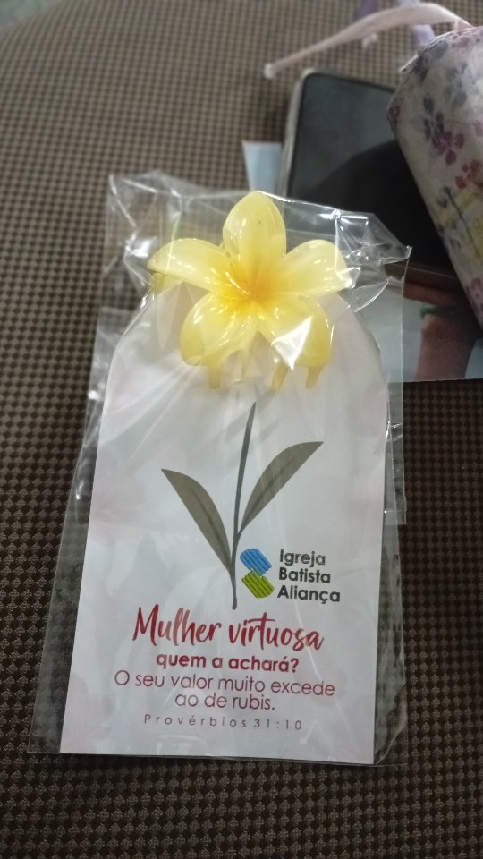 Criada à imagem do Criador, movida pela fé e sustentada pela graça.🫶🏻

Parabéns a todas as mulheres que fazem do mundo um lugar mais cheio de luz! 🤍📖🌻

Culto de Louvor e Adoração 📖⛪